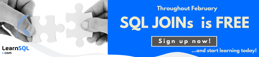 SQL JOINs Interactive Course