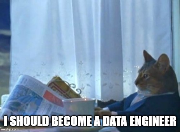 I should become a data engineer