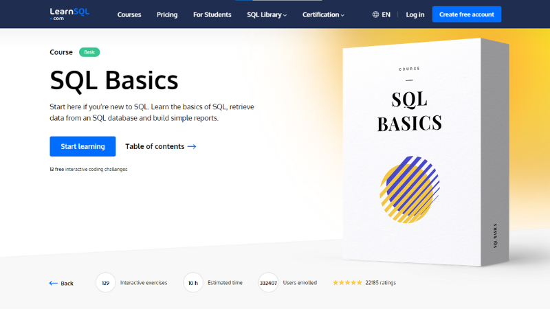 SQL Basics course helping people make business decisions