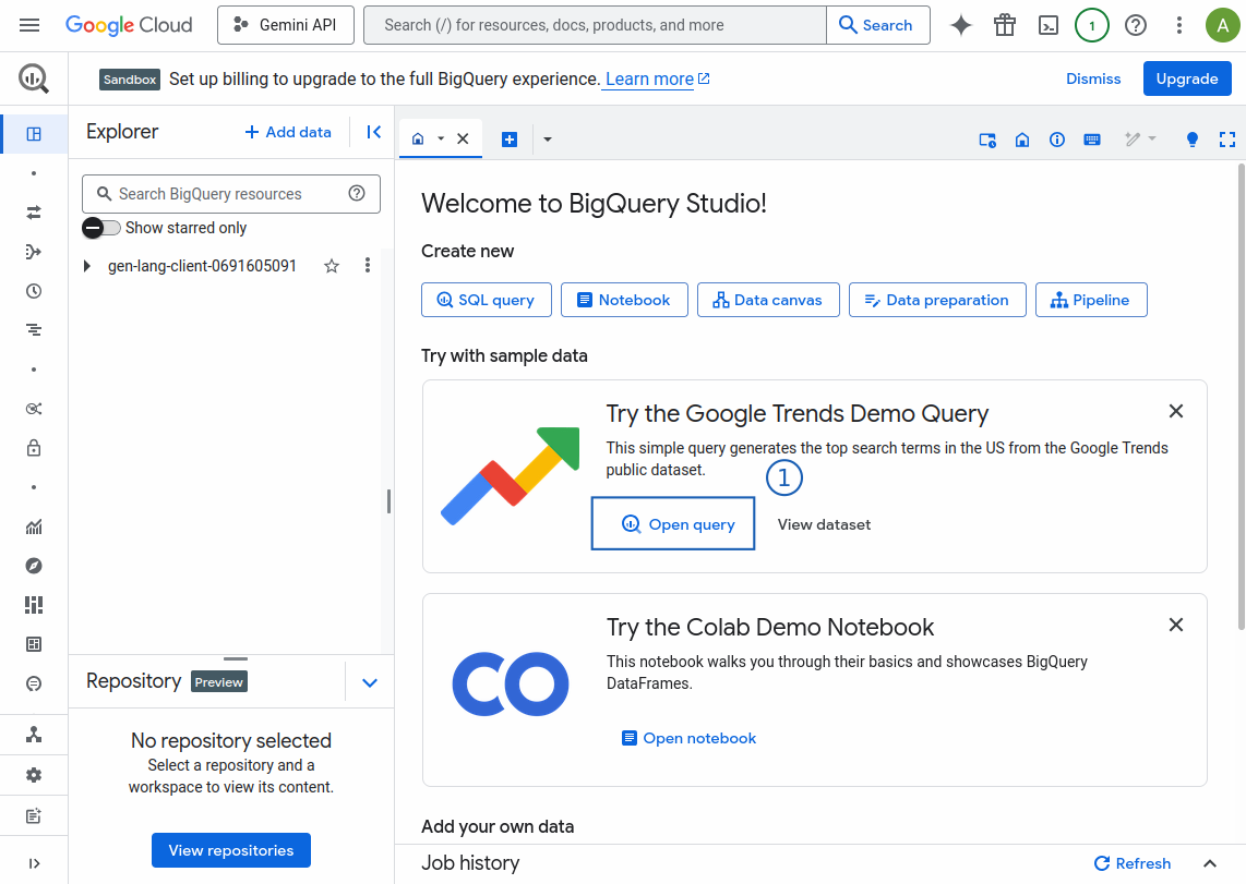 How to Use Google BigQuery 