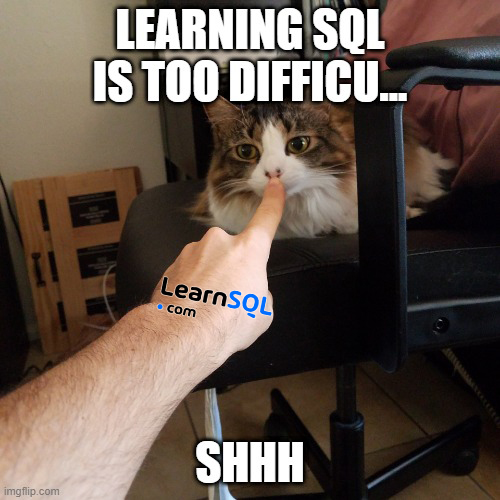 Learn SQL!