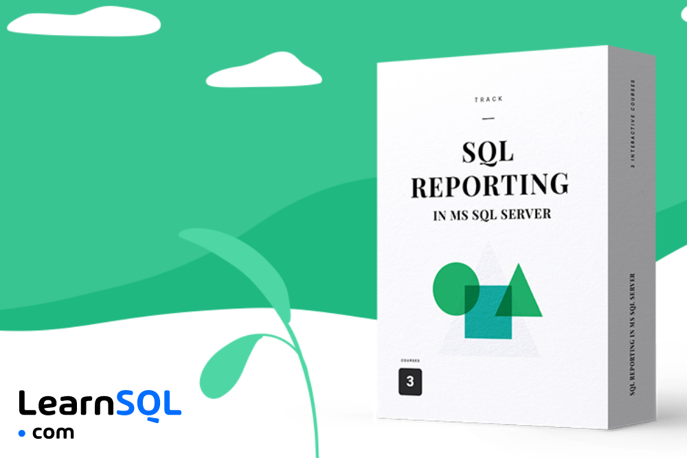 SQL Reporting in MS SQL Server
