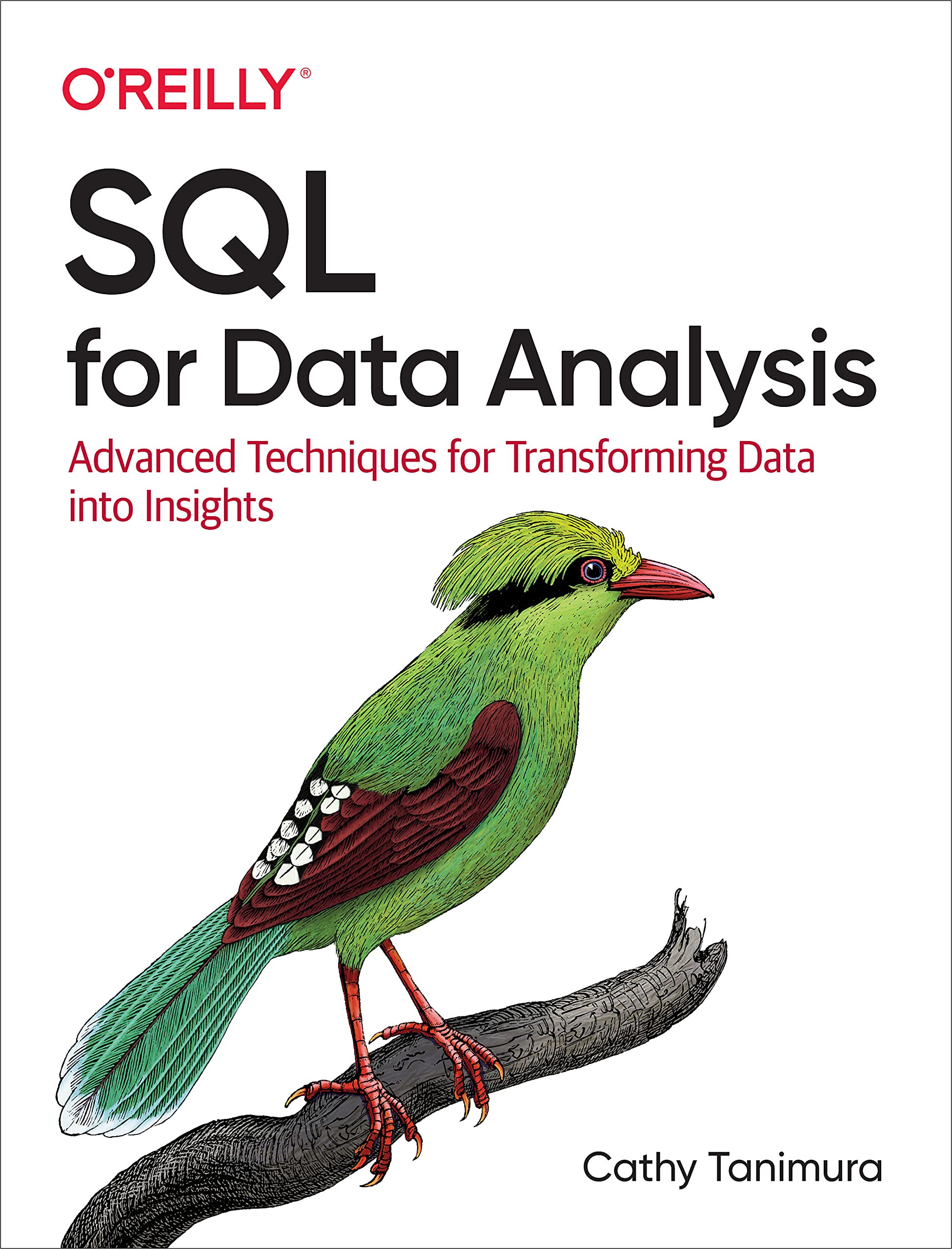 Top SQL Resources for Summer 2025