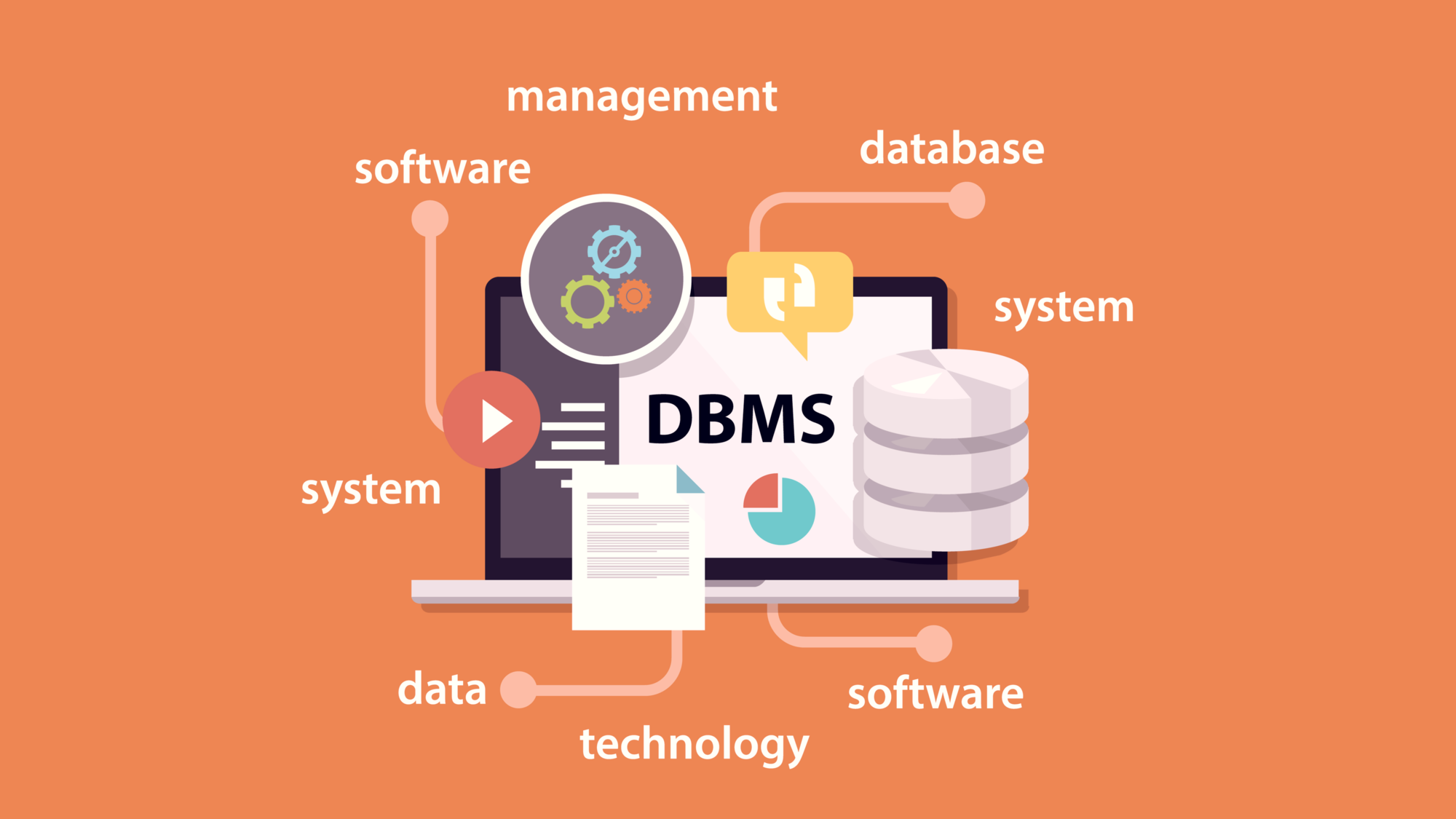 What Is A DBMS 