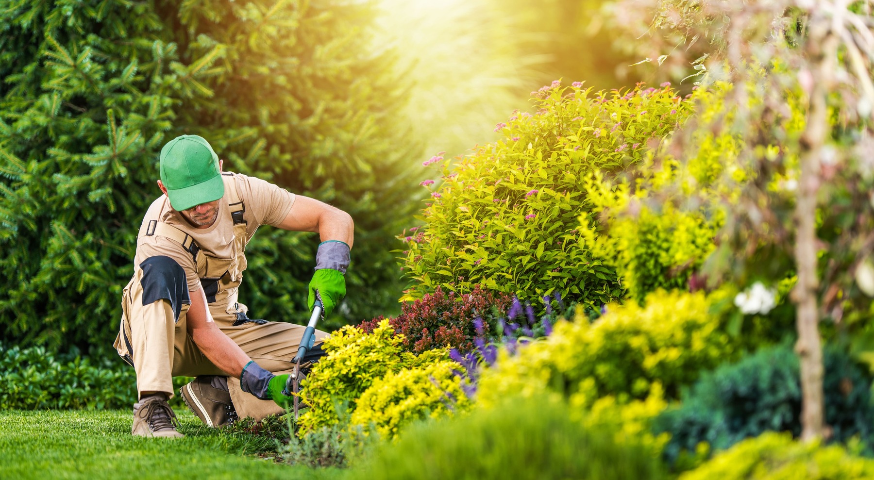 Picture of a gardener working